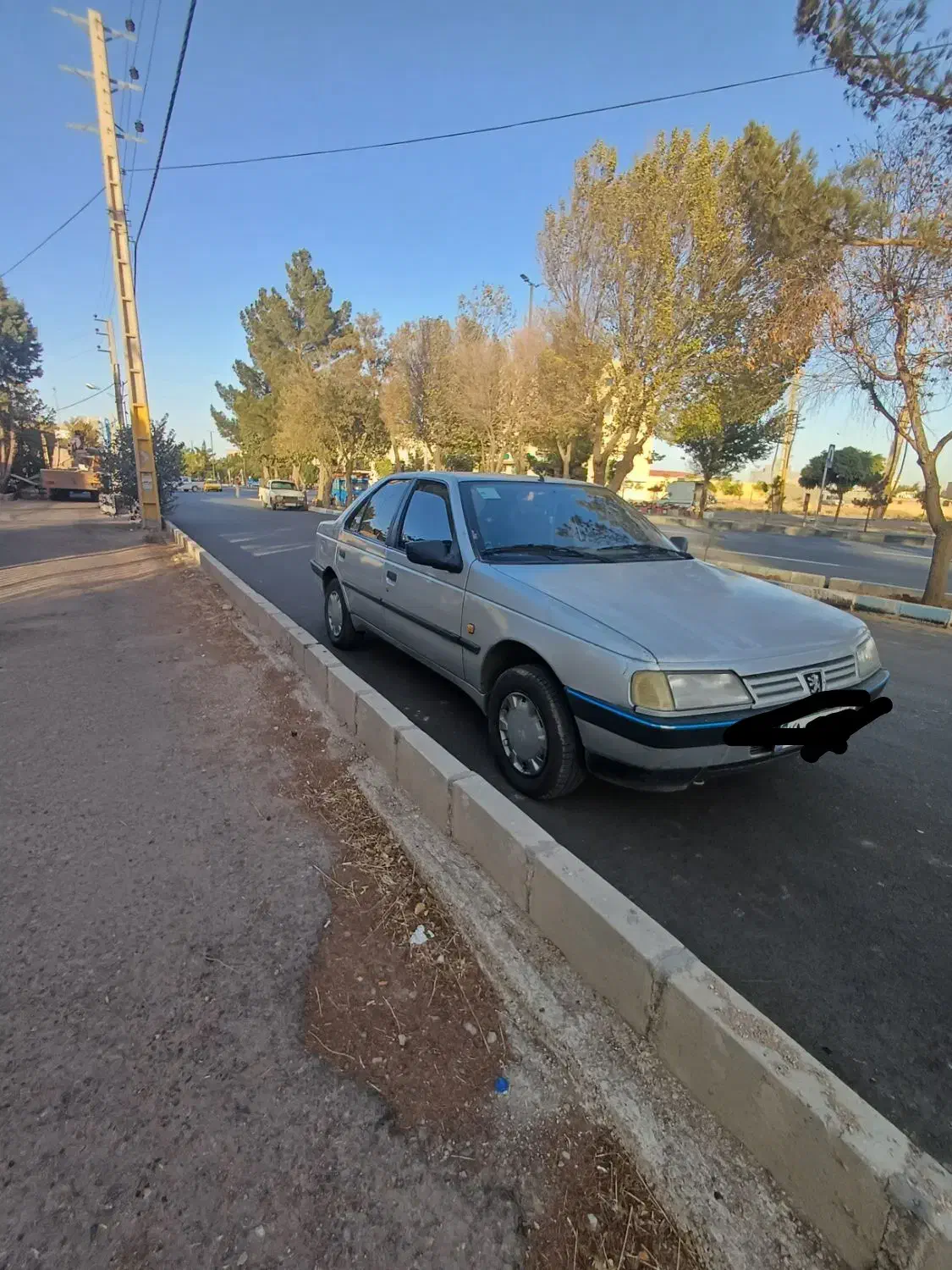 پژو 405 GLX - دوگانه سوز - 1390