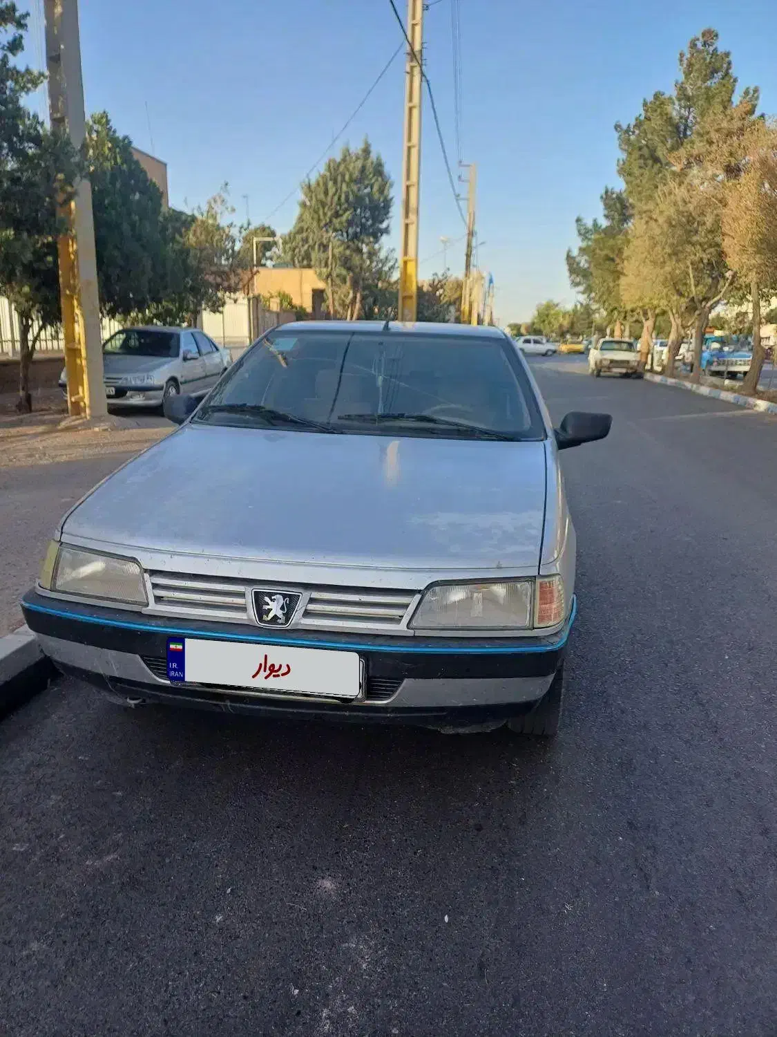 پژو 405 GLX - دوگانه سوز - 1390