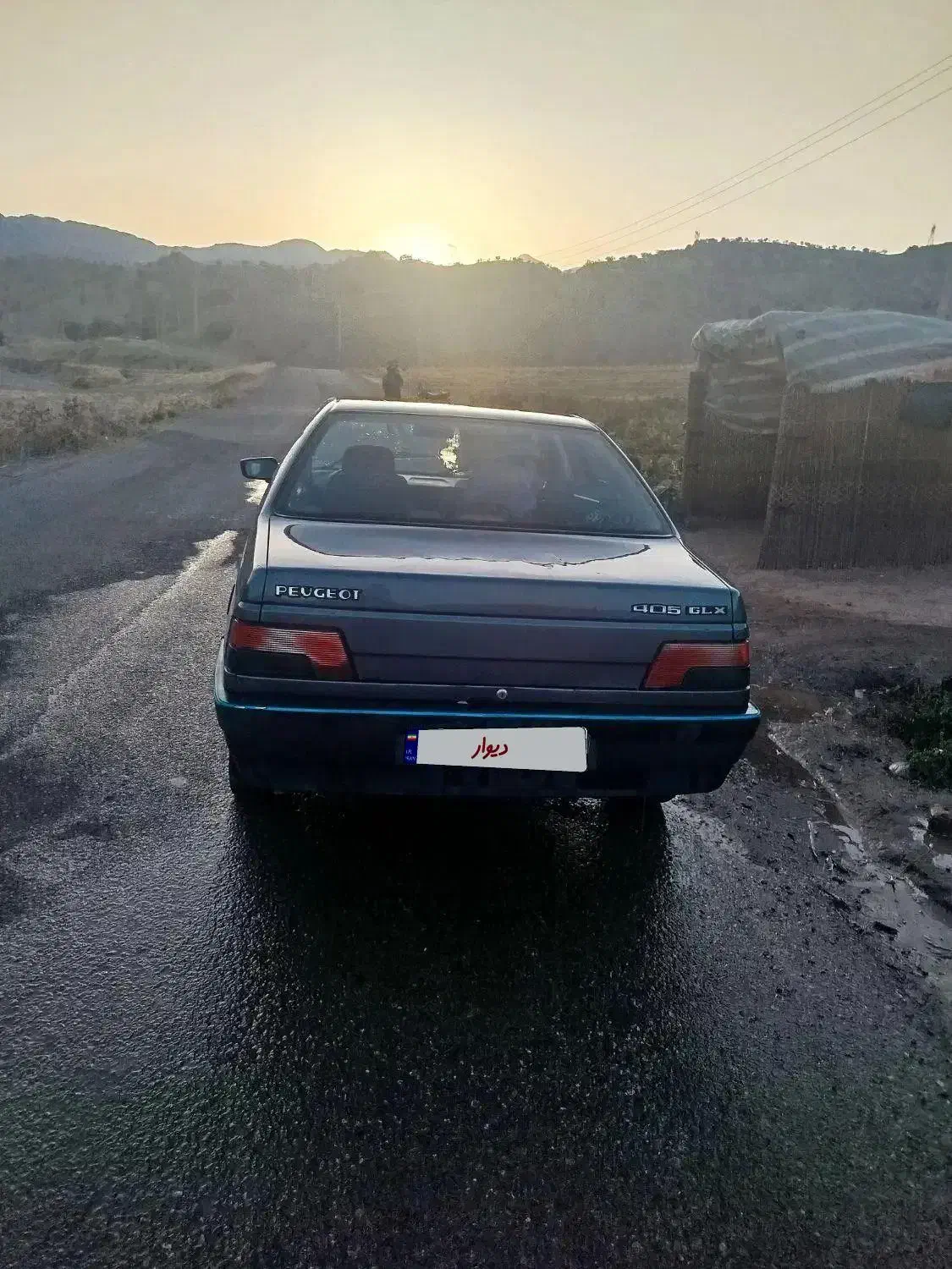 پژو 405 GLX - دوگانه سوز - 1394