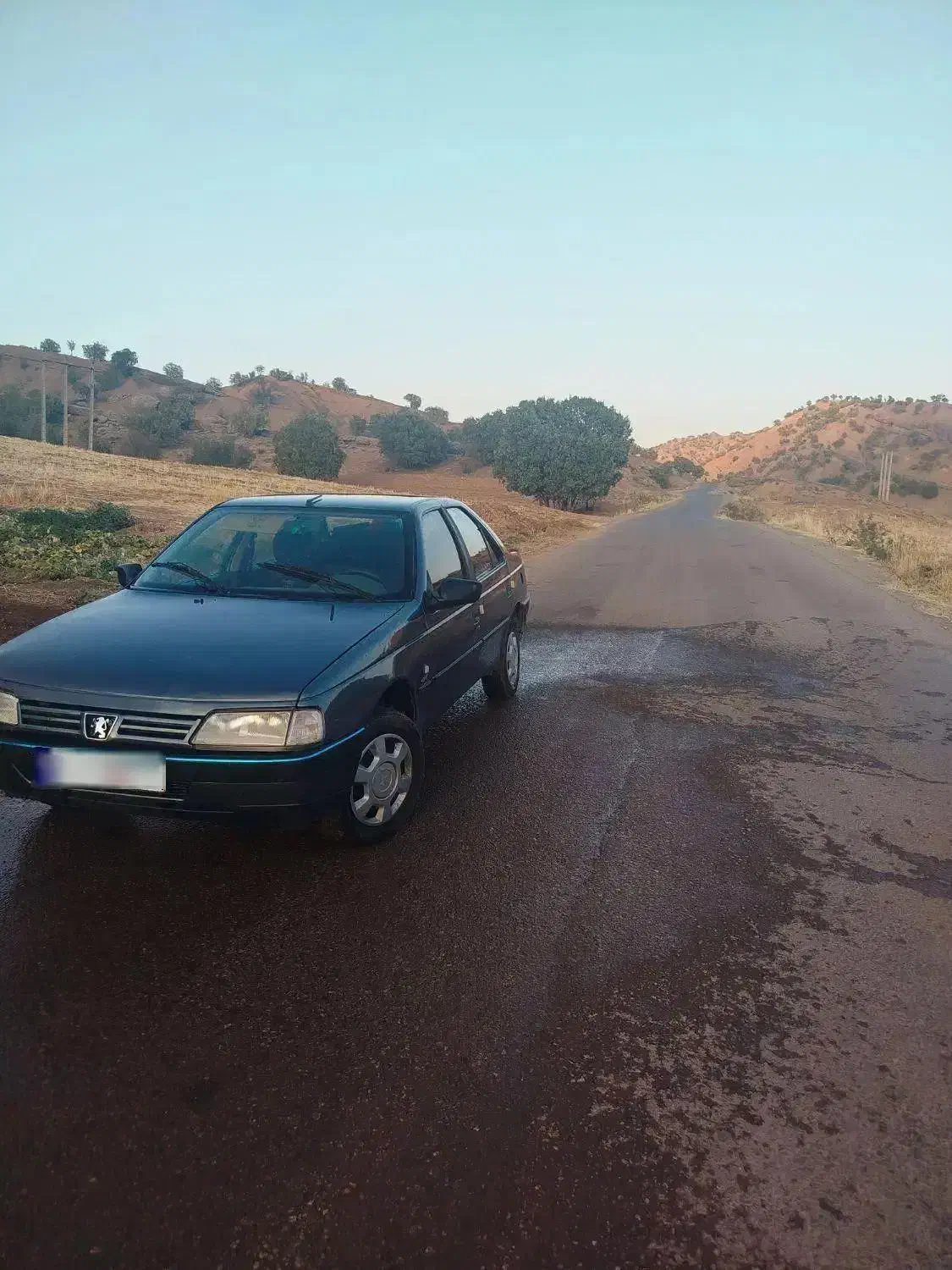 پژو 405 GLX - دوگانه سوز - 1394