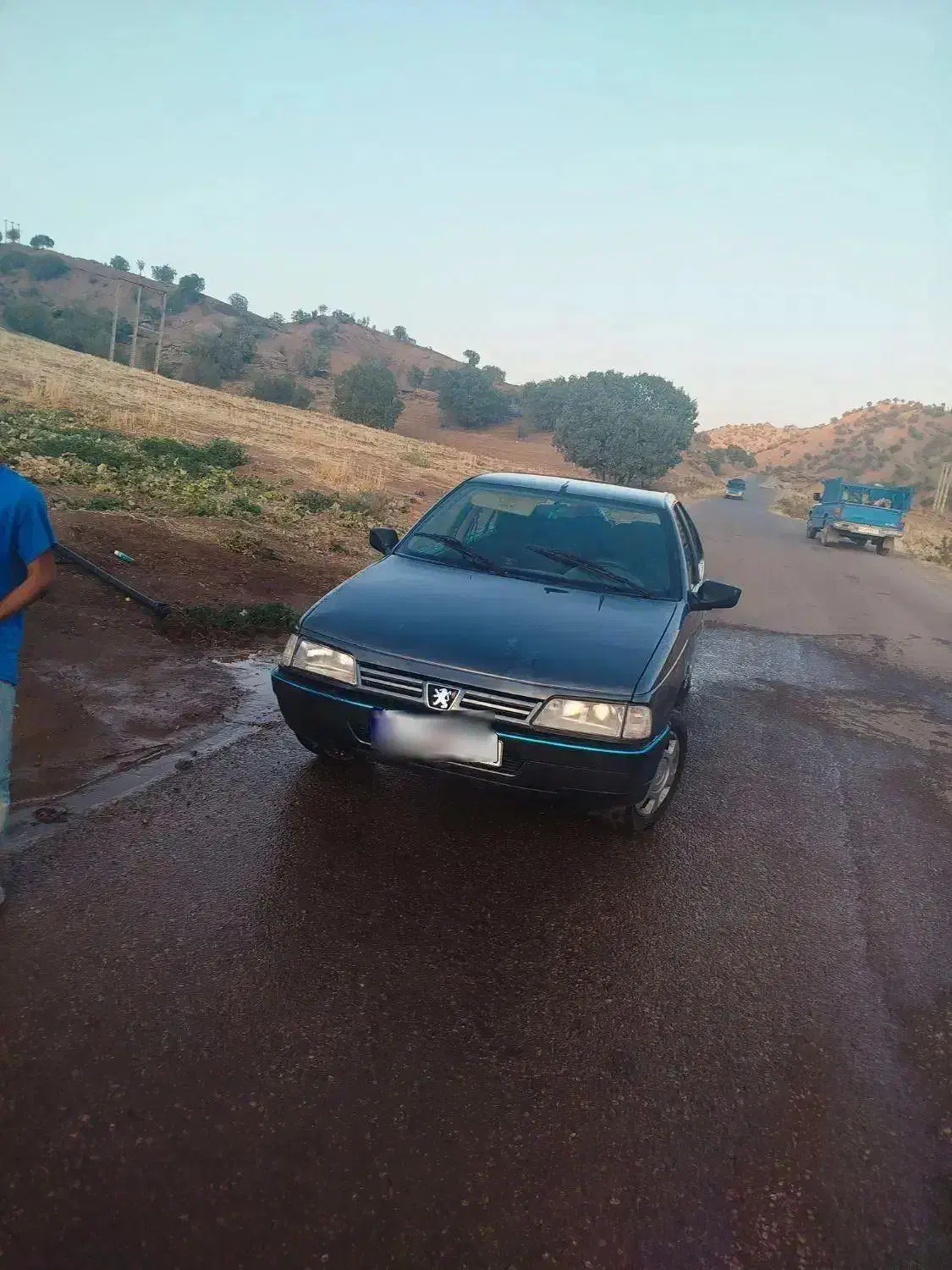 پژو 405 GLX - دوگانه سوز - 1394