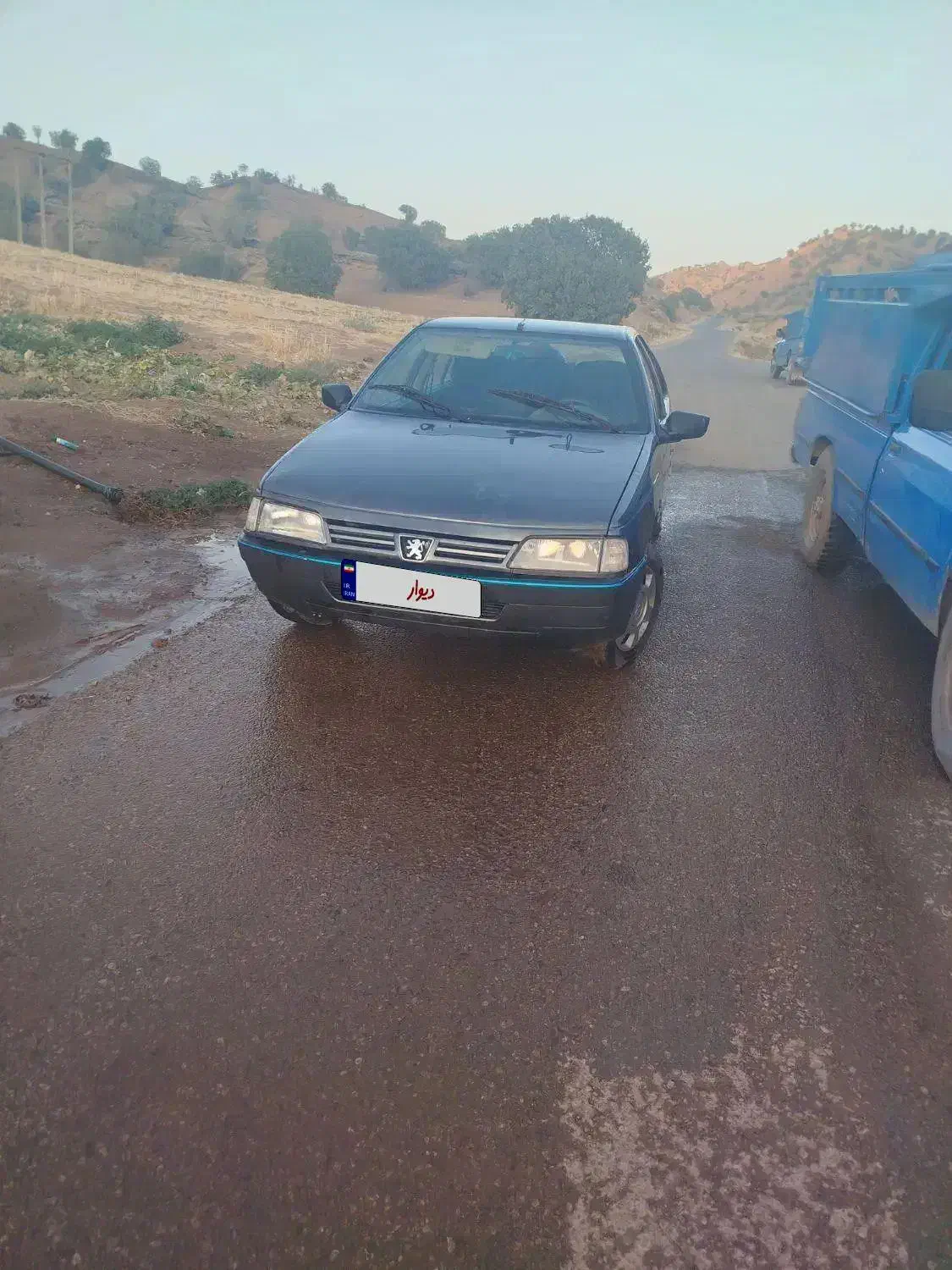 پژو 405 GLX - دوگانه سوز - 1394