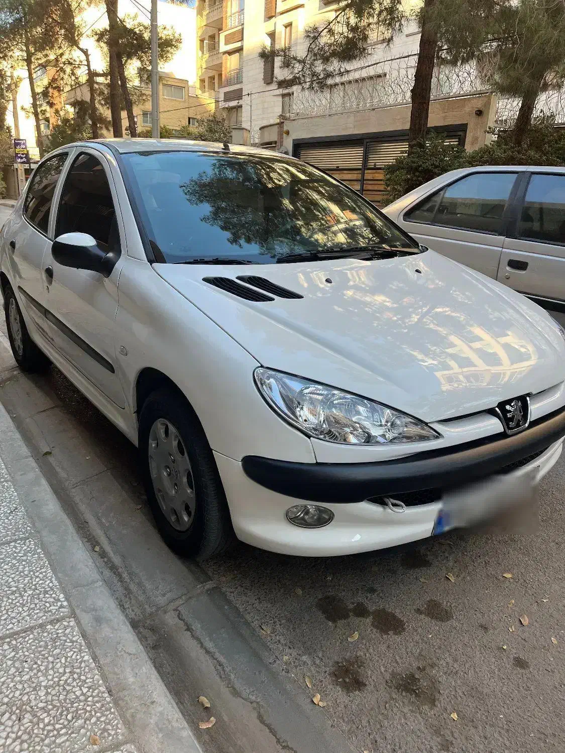 پژو 206 تیپ 5 - 1396