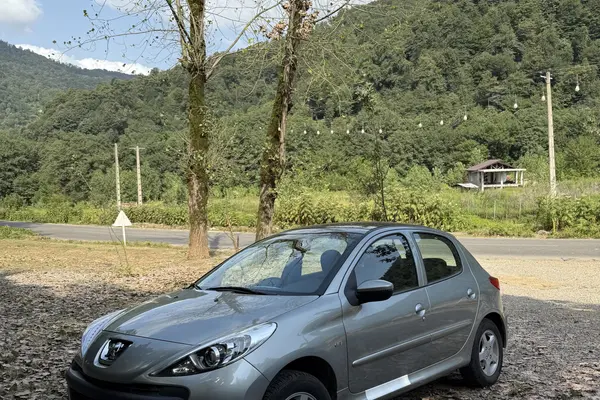 خودرو پژو، 207 آگهی ann_20995505