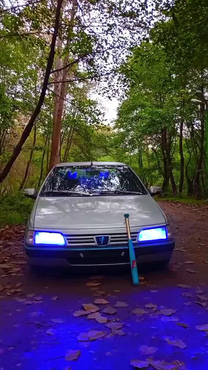 خودرو پژو، 405 آگهی ann_20998436