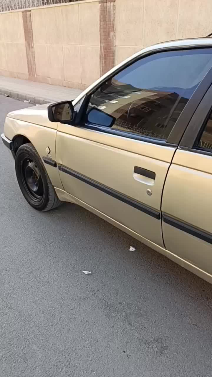 خودرو پژو، 405 آگهی ann_20998818