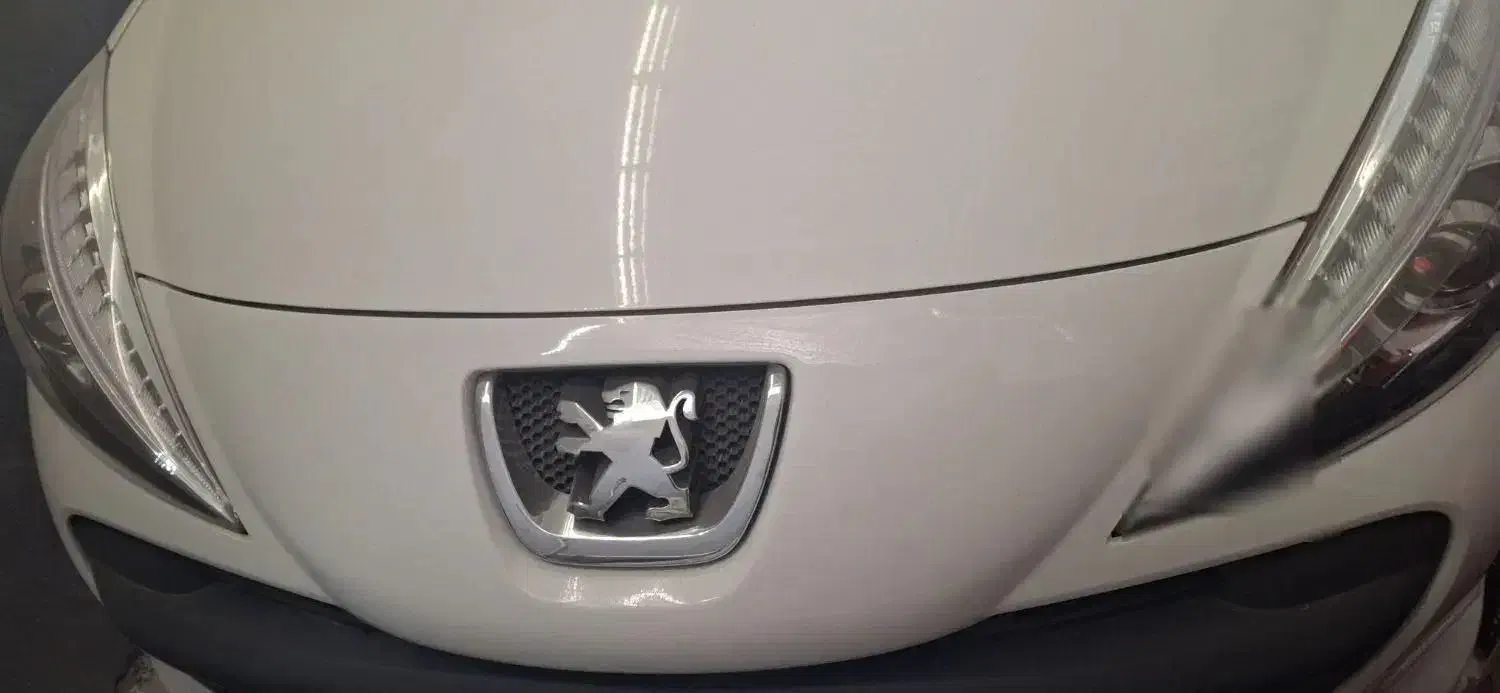 خودرو پژو، 207 آگهی ann_20998923