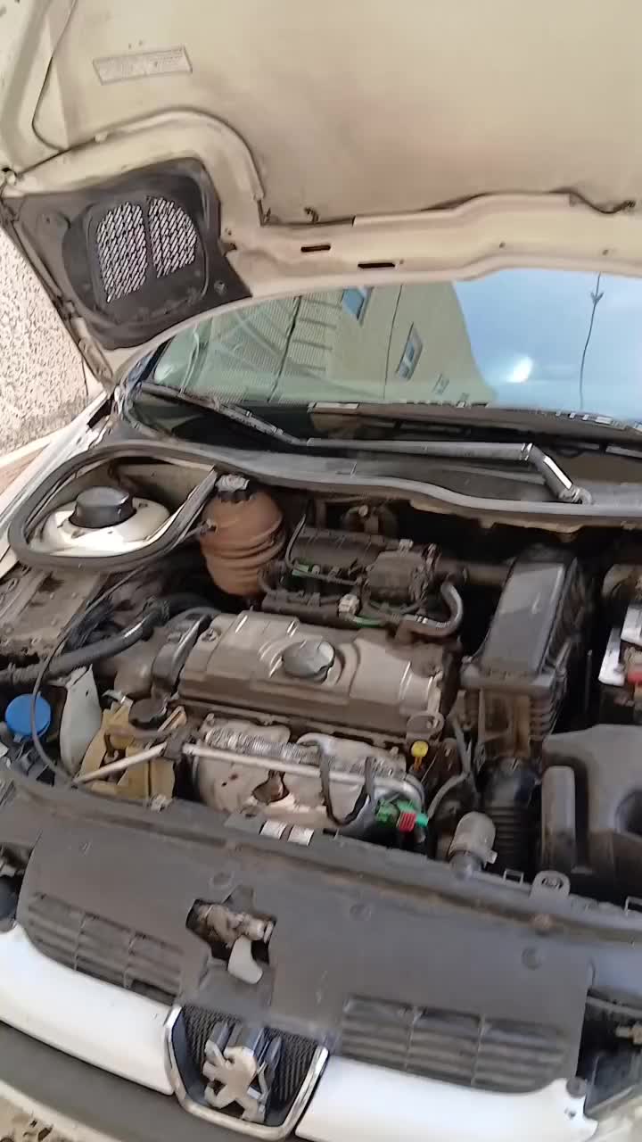 خودرو پژو، 206 آگهی ann_21005253