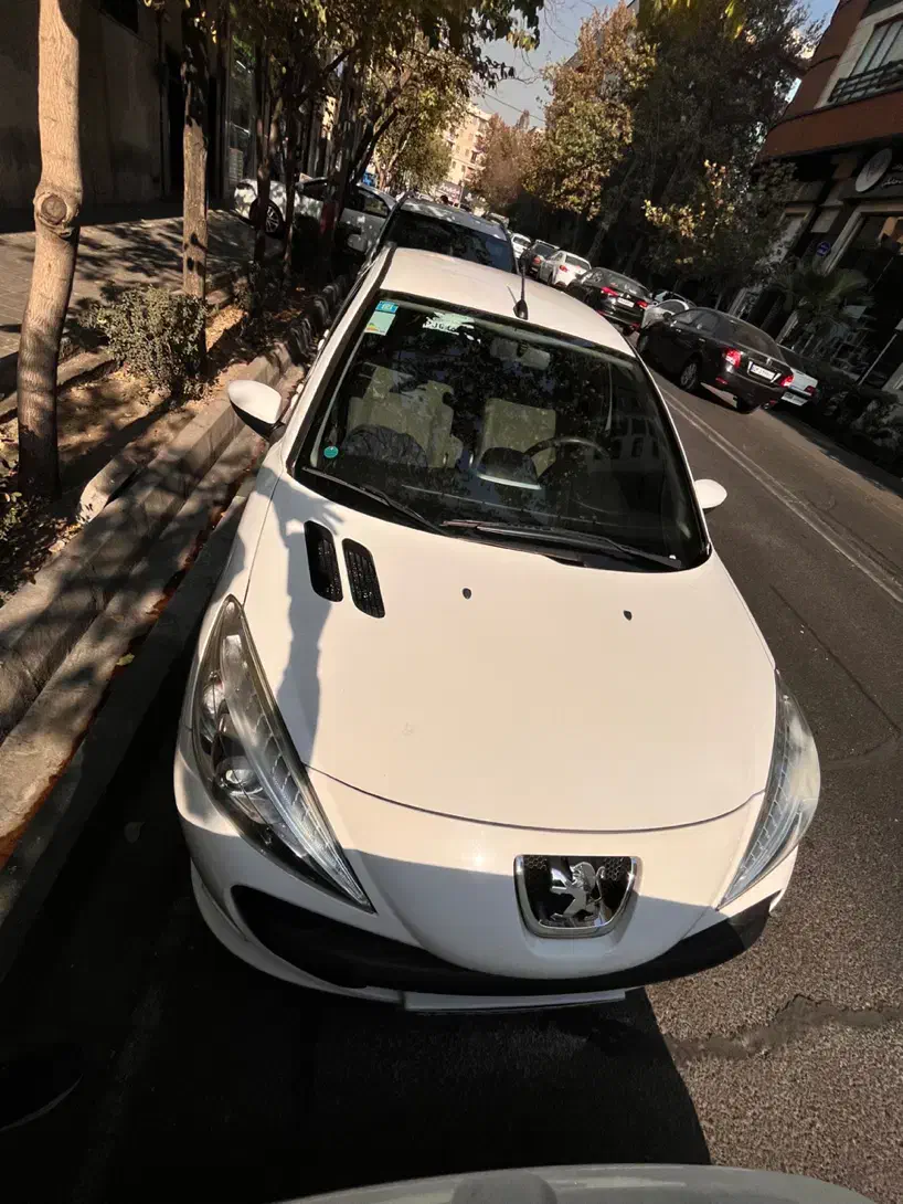 خودرو پژو، 207 آگهی ann_21165527