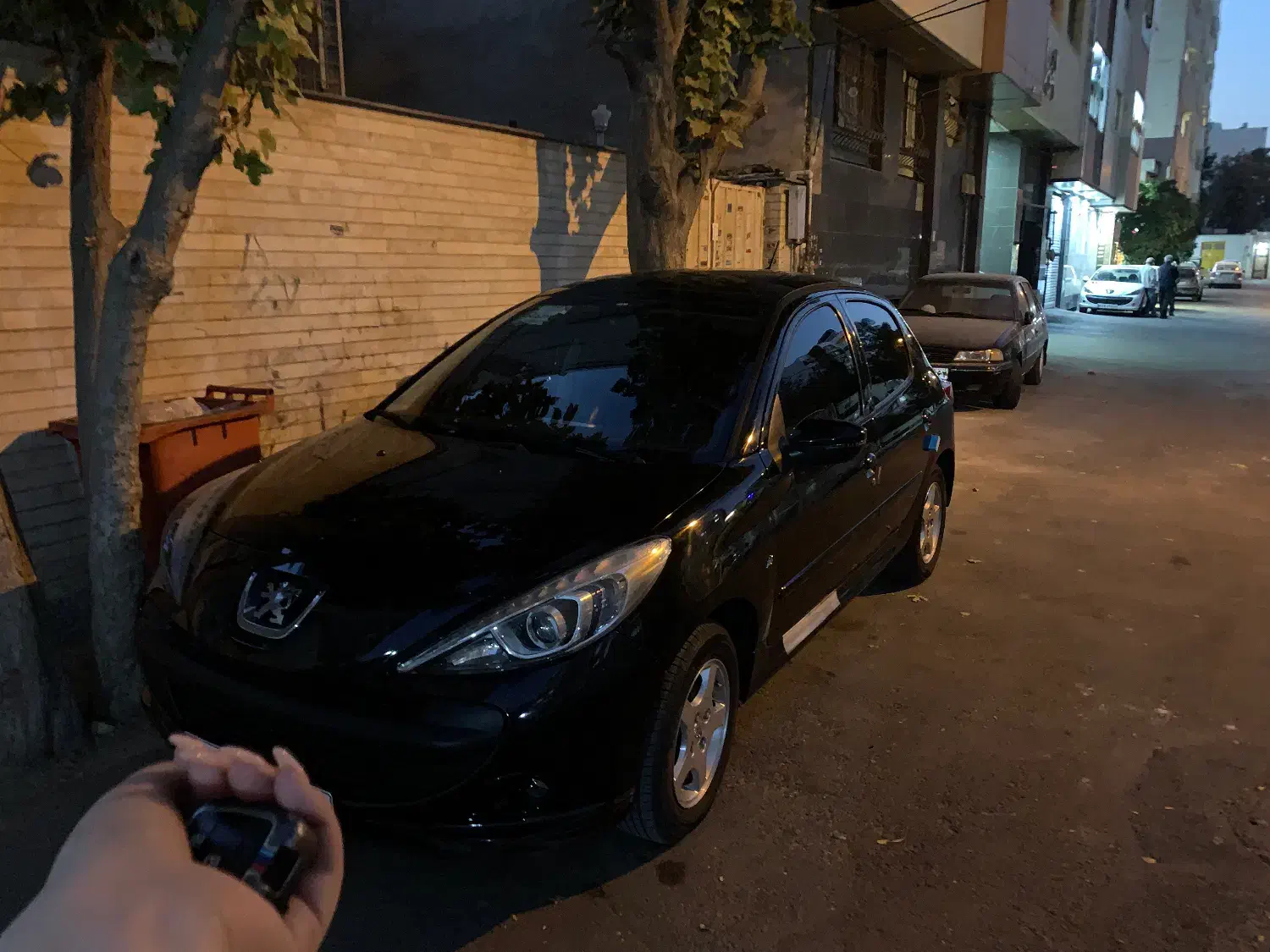 خودرو پژو، 207 آگهی ann_21165667