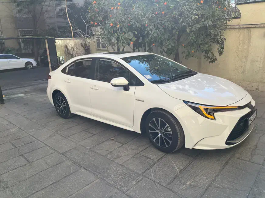 خودرو تویوتا، لوین آگهی ann_21240323