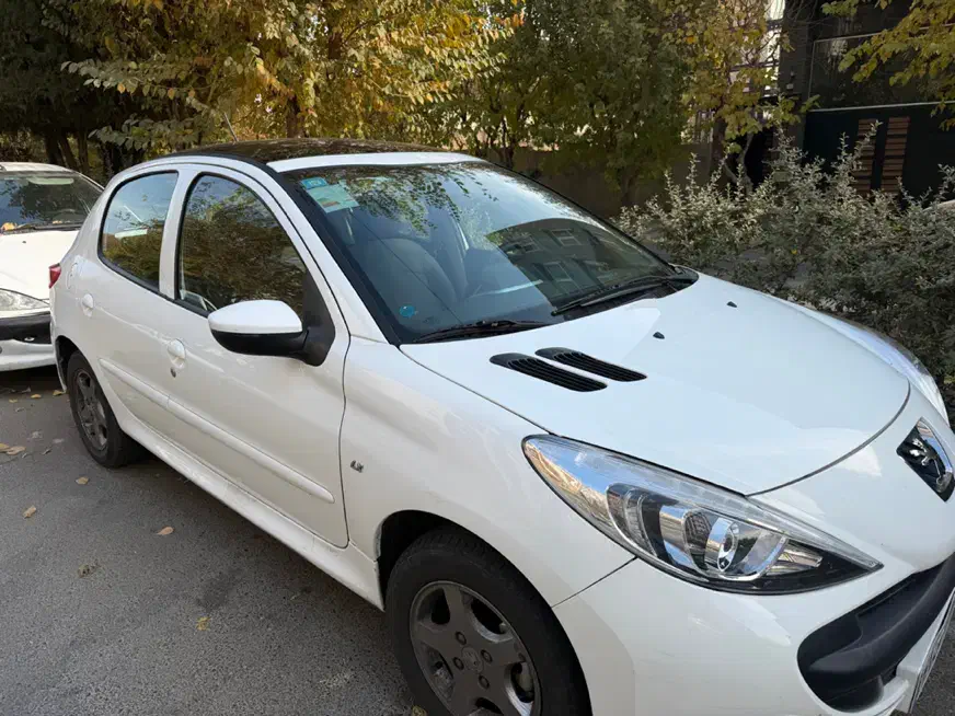 خودرو پژو، 207 آگهی ann_21241211