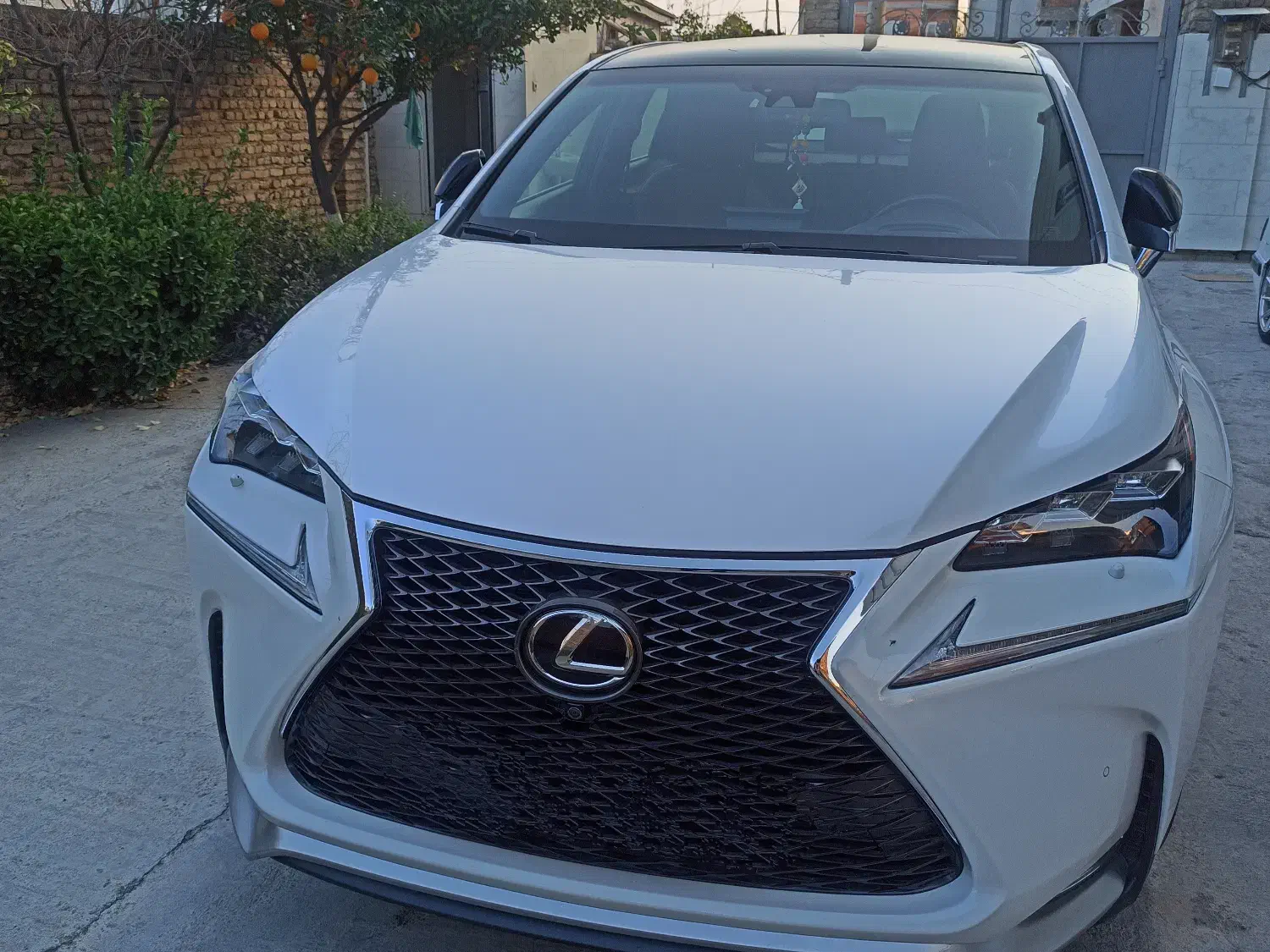 خودرو لکسوس، NX آگهی ann_21256162