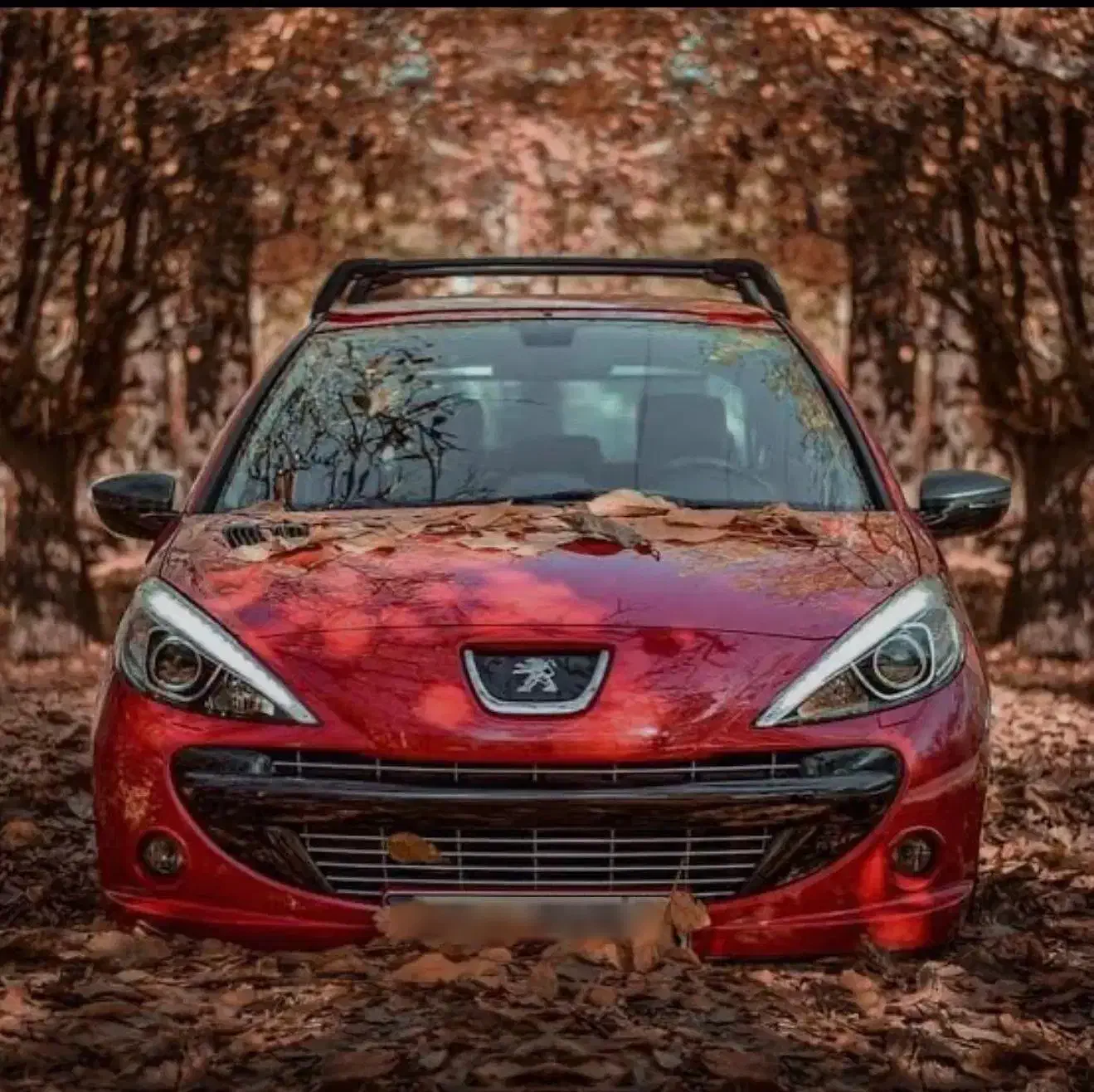 خودرو پژو، ۲۰۷ صندوق دار آگهی ann_21269374