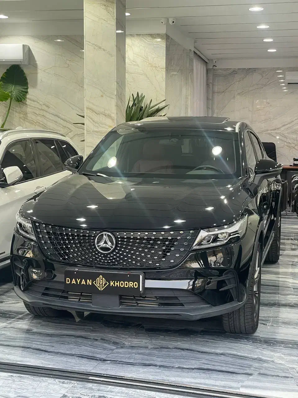 خودرو دیگنیتی، پرستیژ آگهی ann_21356348