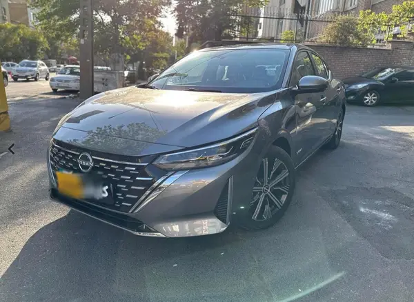 خودرو نیسان، سیلفی آگهی ann_21480402