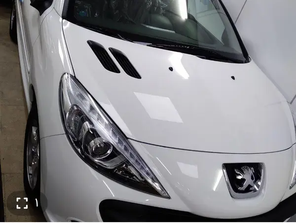 خودرو پژو، 207 آگهی ann_21510704