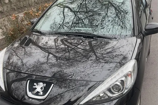 خودرو پژو، 207 آگهی ann_21513173