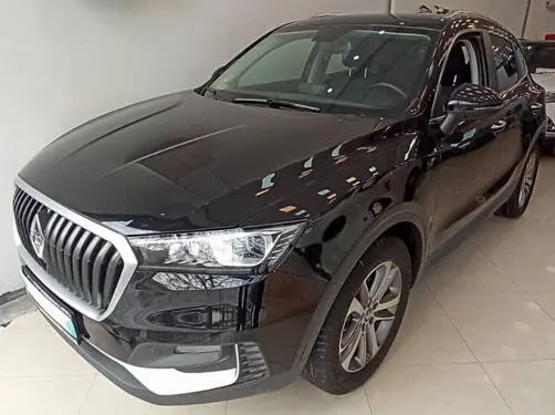 خودرو بورگوارد، BX5 آگهی ann_22260426