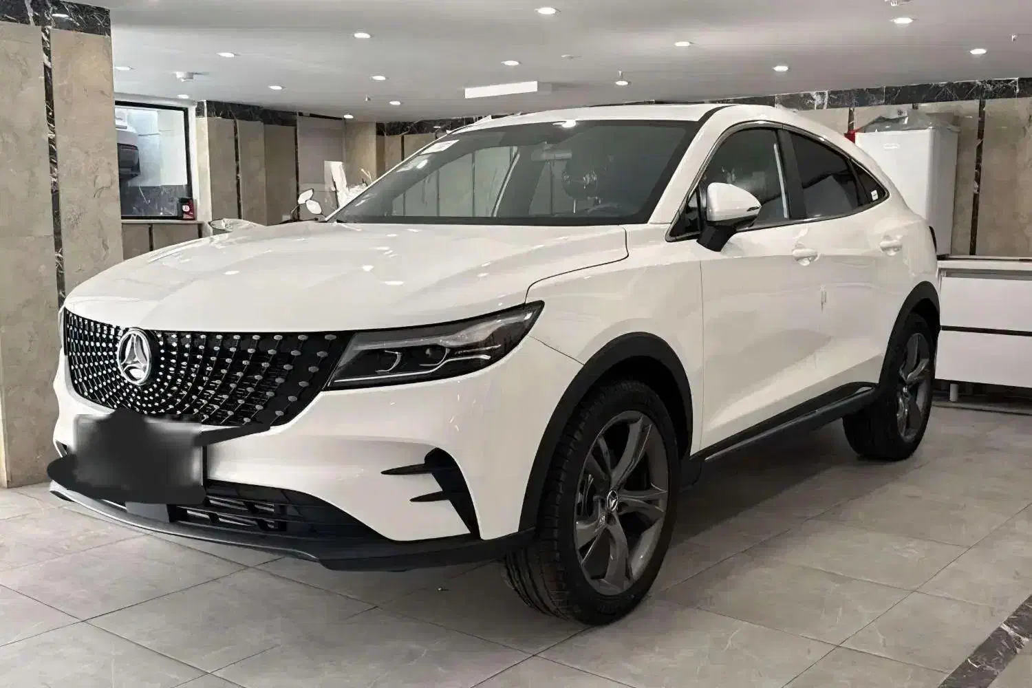 خودرو دیگنیتی، پرستیژ آگهی ann_22481877