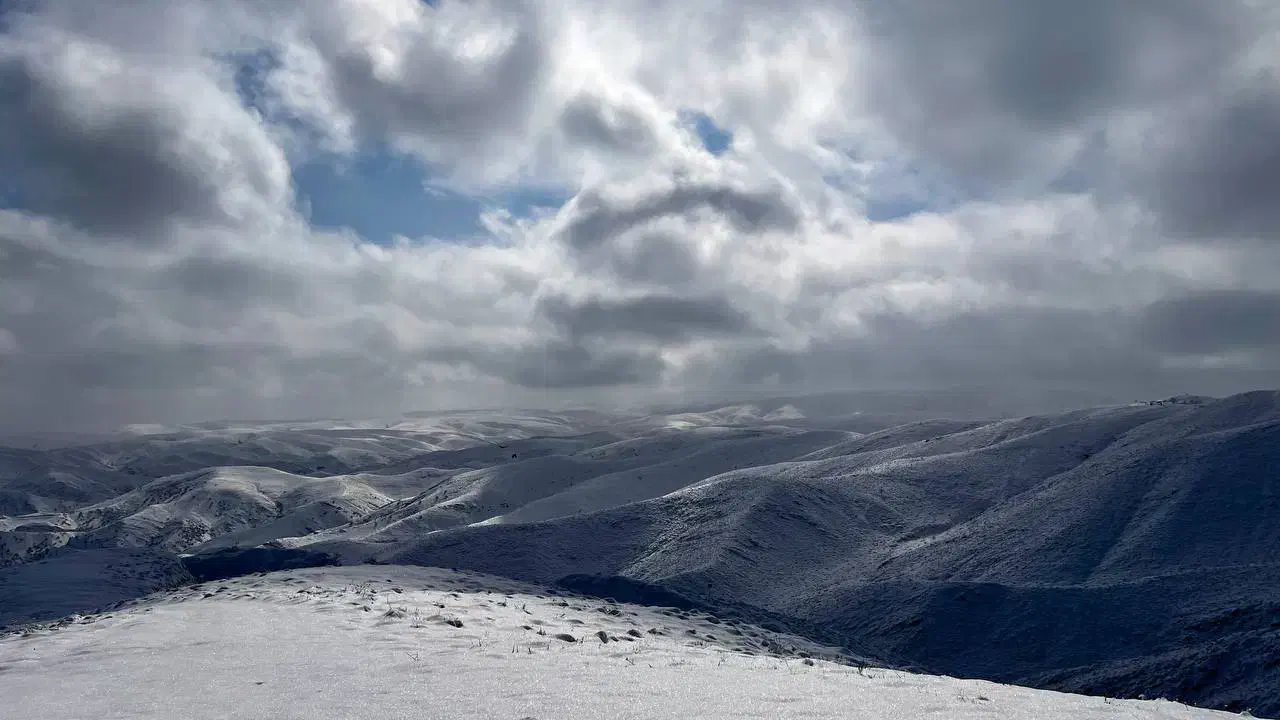 خودرو تیبا، 2 آگهی ann_22792893