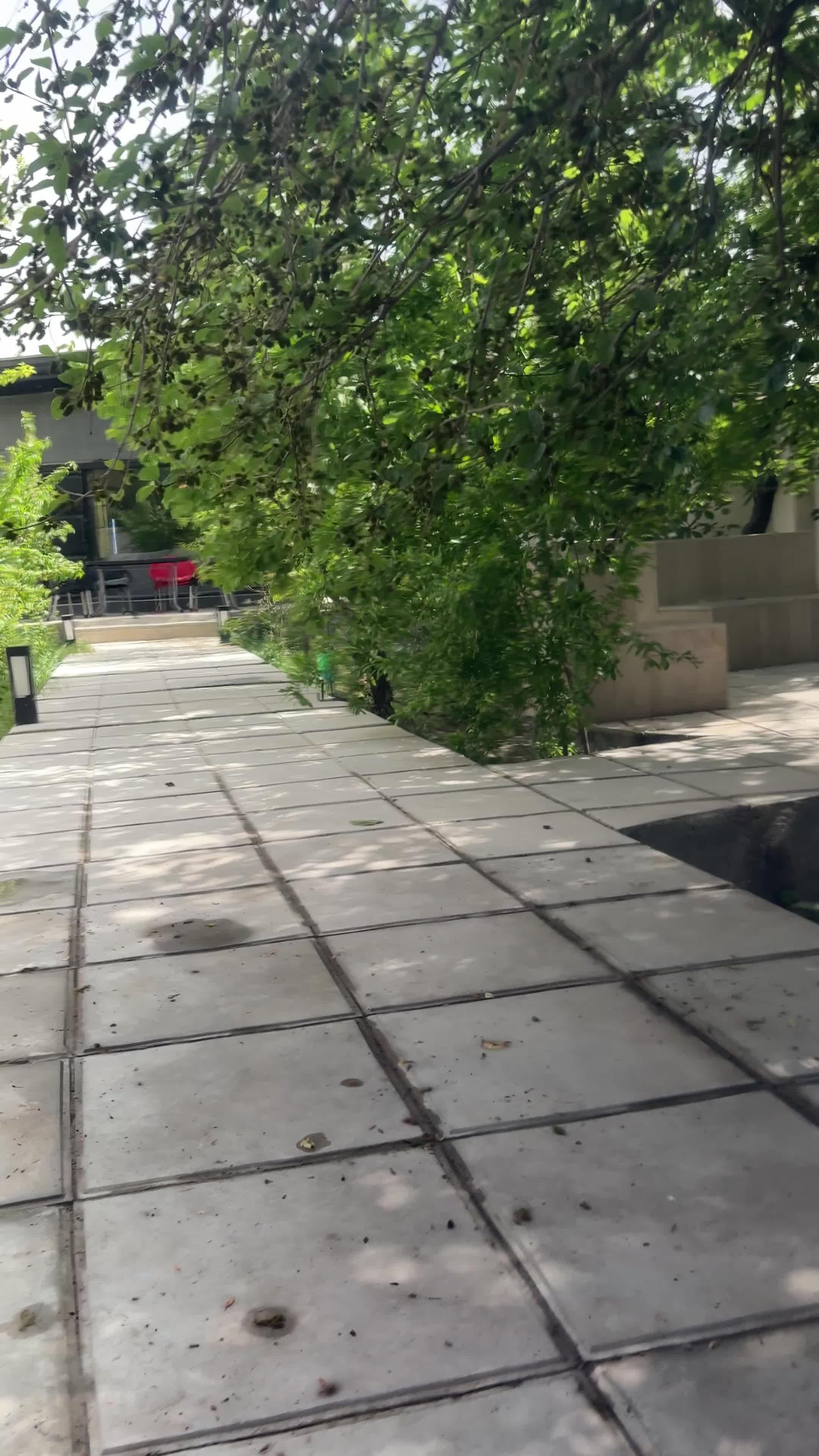 خودرو ام جی، 350 آگهی ann_23245393