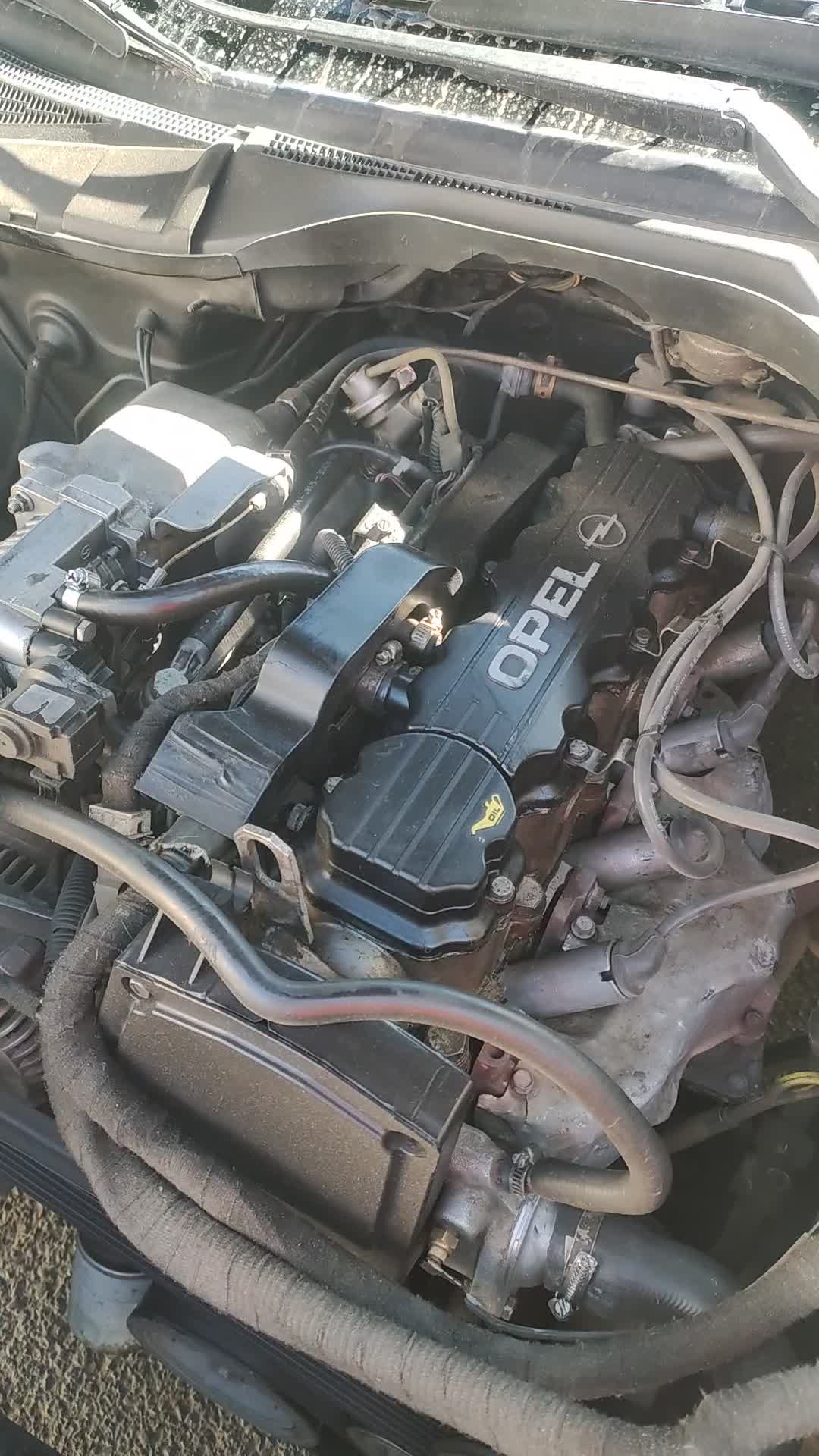 خودرو اپل، امگا آگهی ann_23676149