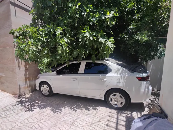 خودرو تارا، دنده‌ای آگهی ann_23701414