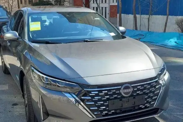 خودرو نیسان، سیلفی آگهی ann_23925093