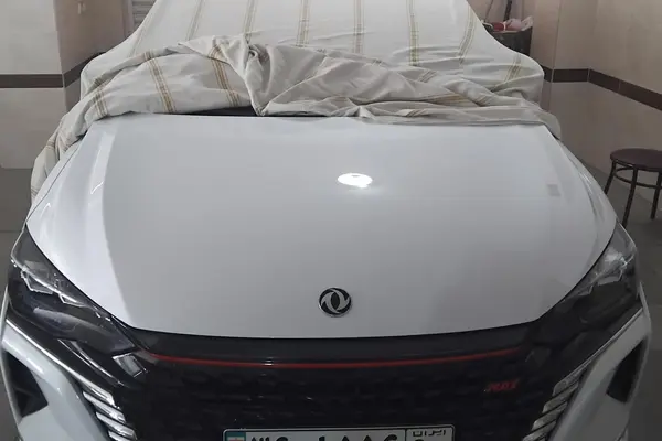 خودرو دانگ فنگ، شاین مکس آگهی ann_24987574