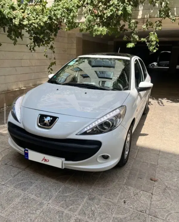 خودرو پژو، 207 آگهی ann_25029688