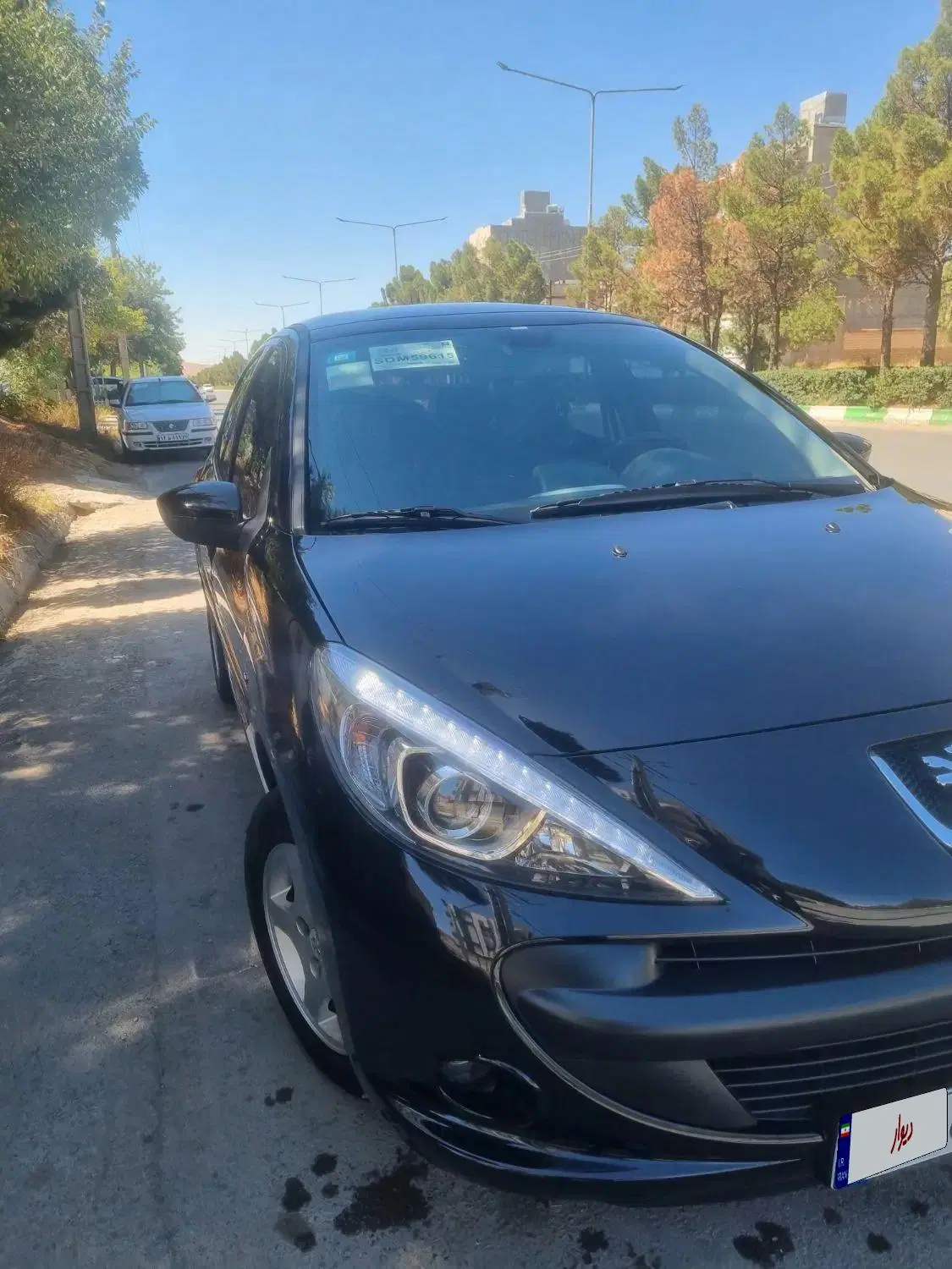 خودرو پژو، 207 آگهی ann_25215324