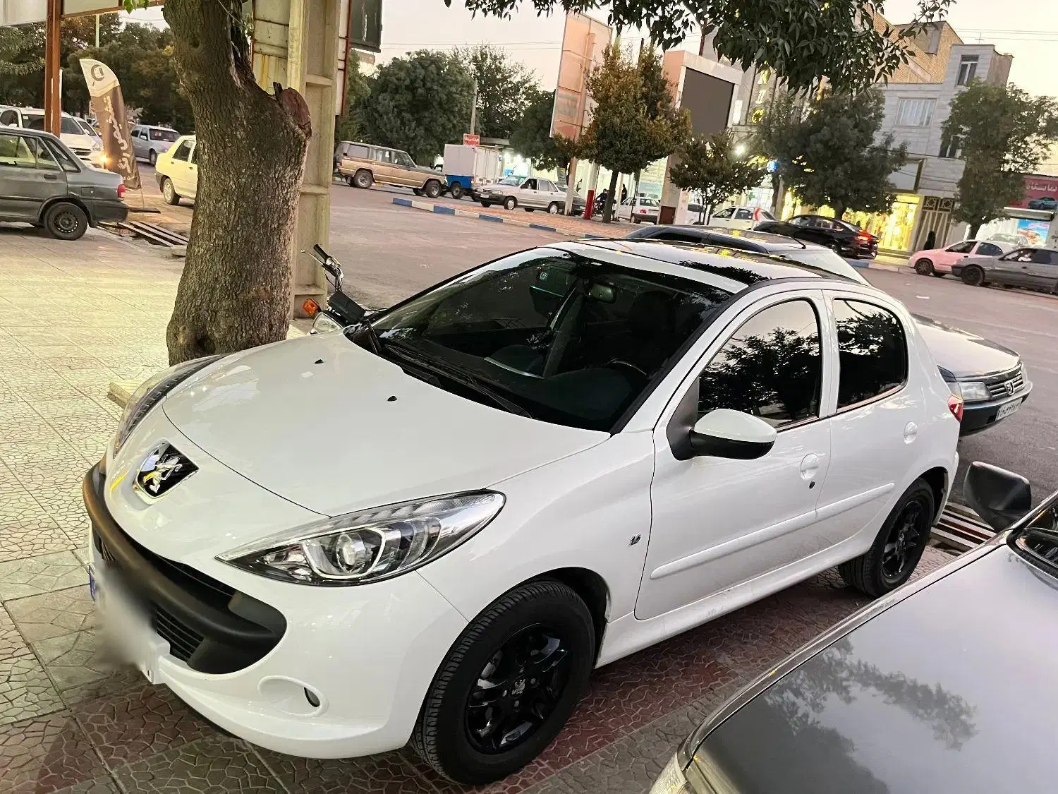 خودرو پژو، 207 آگهی ann_25369013
